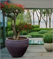 Carabao Pflanzkübel | Big mouth jar