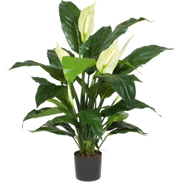 Spathiphyllum Deluxe Kunstpflanze