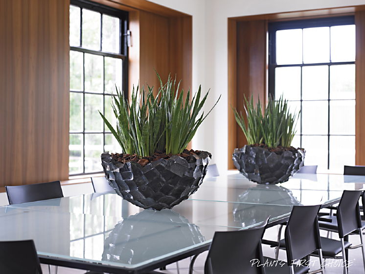 Ocean-Bowl-Black-beispiel