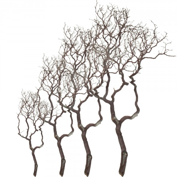 Manzanita natur braun | Dekoholz