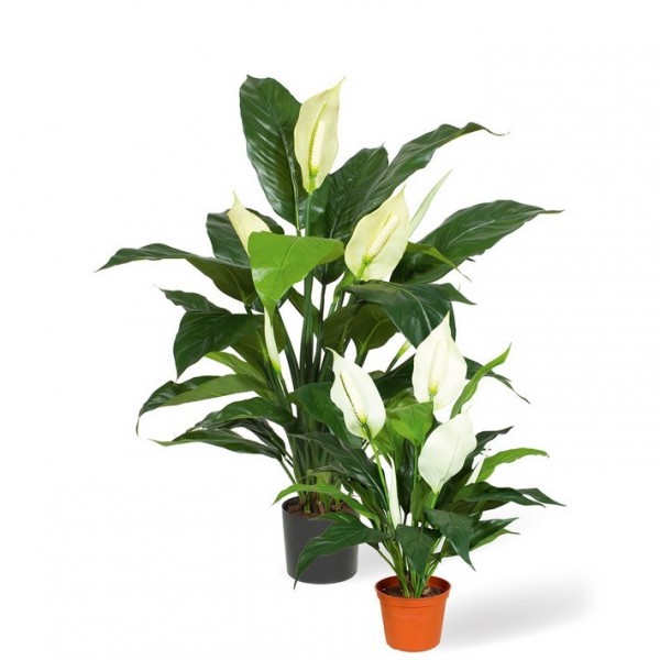 Spathiphyllum Deluxe Kunstpflanze