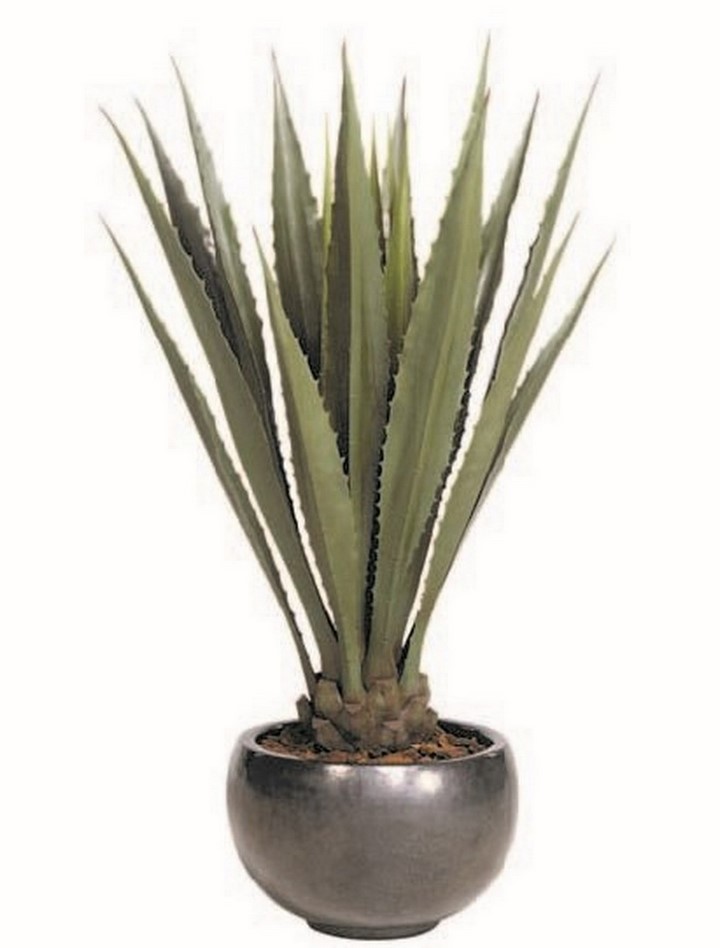 agave-giant-kunstpflanze-stimmungsbild