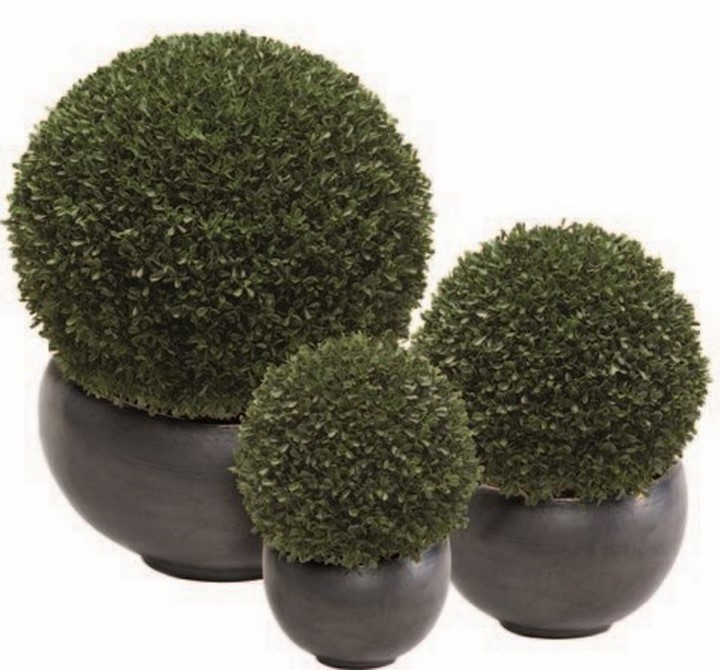 kunstpflanzen/boxwood-ball-kunstpflanze-stimmungsbild