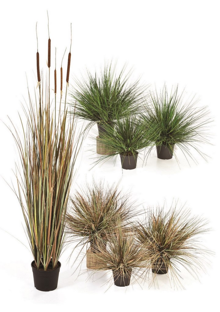 onion-autumn-cattail-grass-kunstpflanze-stimmungsbild-720.jpg