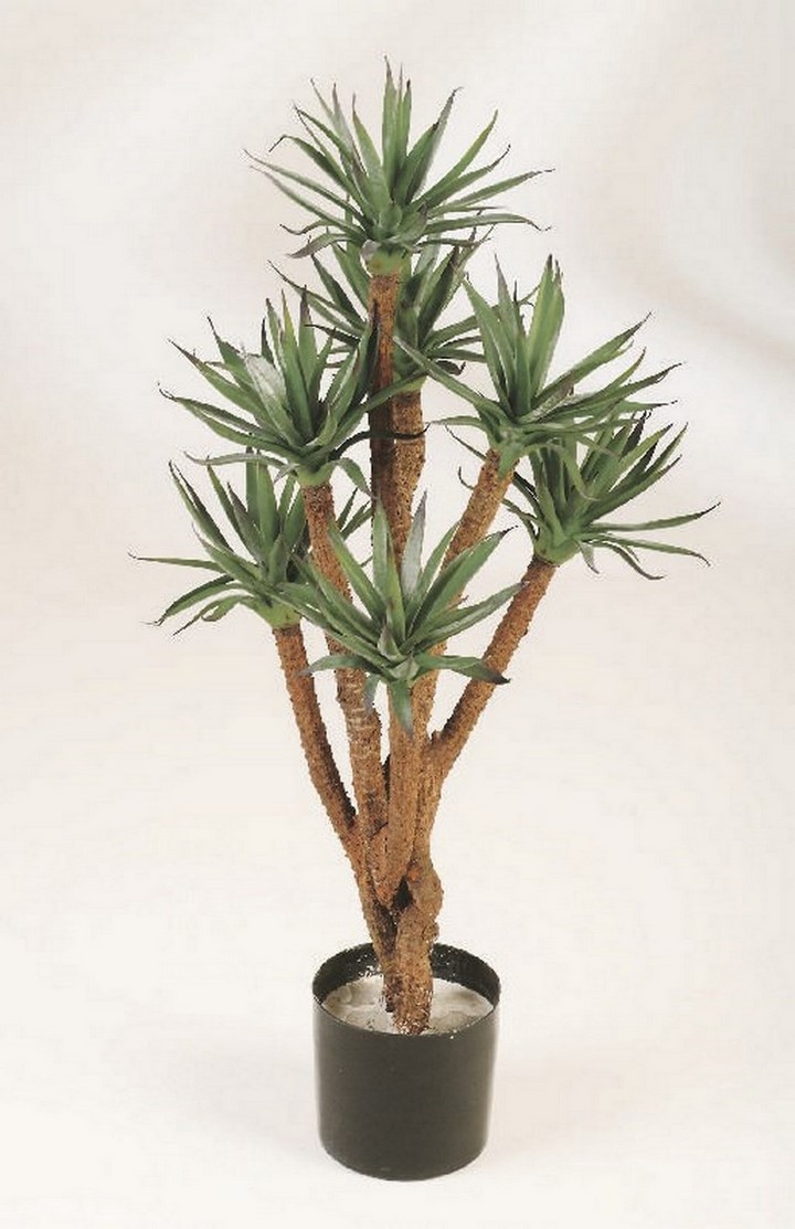 agave-verzweigt-kunstpflanze-stimmungsbild