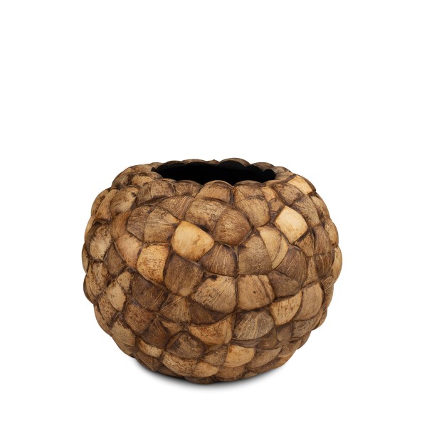 Globe Coconut Pflanzgefäß