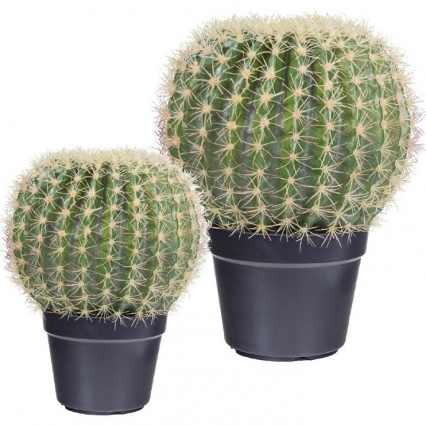 Kaktus Schwiegermutterstuhl | Kunstpflanze