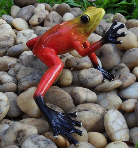 Roter Regenwaldfrosch Bronzefigur