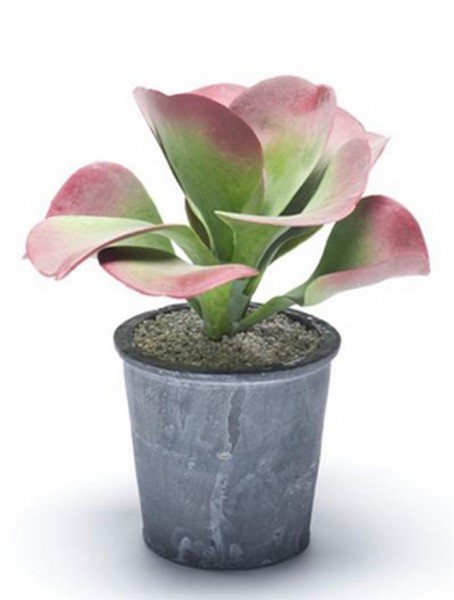 Kalanchoe Fire 12 cm | Kunstpflanze