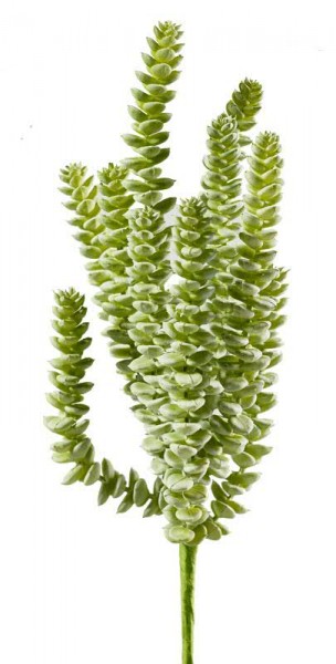 Sukkulenten Kunstpflanzenstiel 35 cm