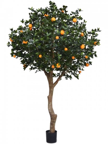 Citrus chinensis verzweigt 275cm - Kunstpflanze