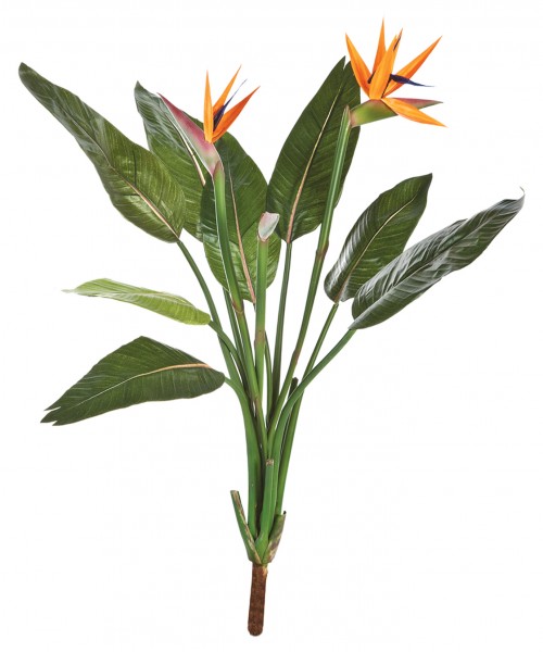 Strelitzia - Strelizien Kunstpflanzenstiel