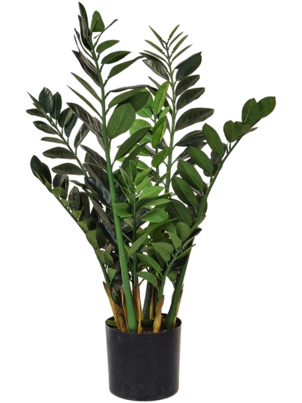 Zamioculcas Kunstpflanze schwer entflammbar / feuerhemmend
