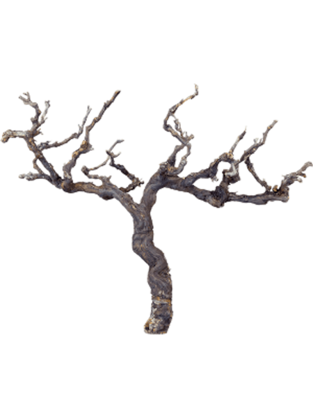 Traubenholz Dekoholz naturbraun - Grape Decowood