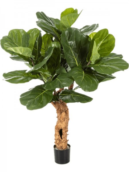 Ficus lyrata forest - Kunstpflanze