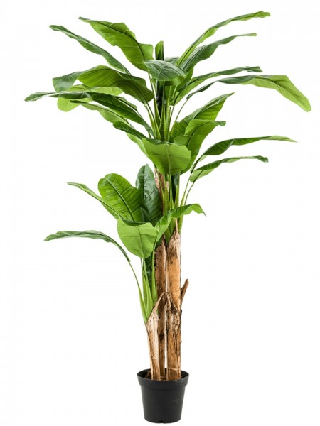 Banana Kunstpflanze verzweigt 210 cm