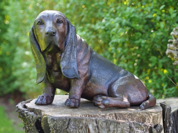 Basset Hund Bronzefigur 52 x 34 x 39 cm