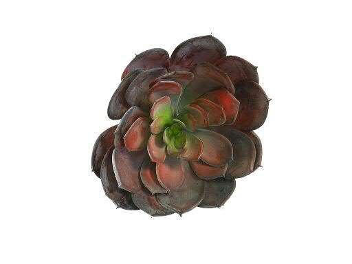 Echeveria - Kunstpflanzenstiel Sukkulente
