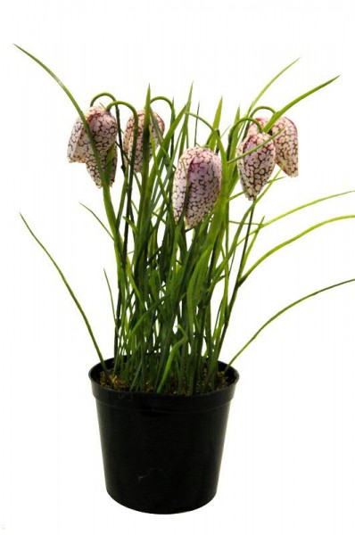 Fritillaria 34 cm - Schachblumen Kunstpflanze im Topf