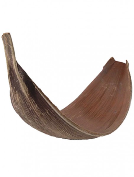 Kokosnuss Blatt - Dekoholz