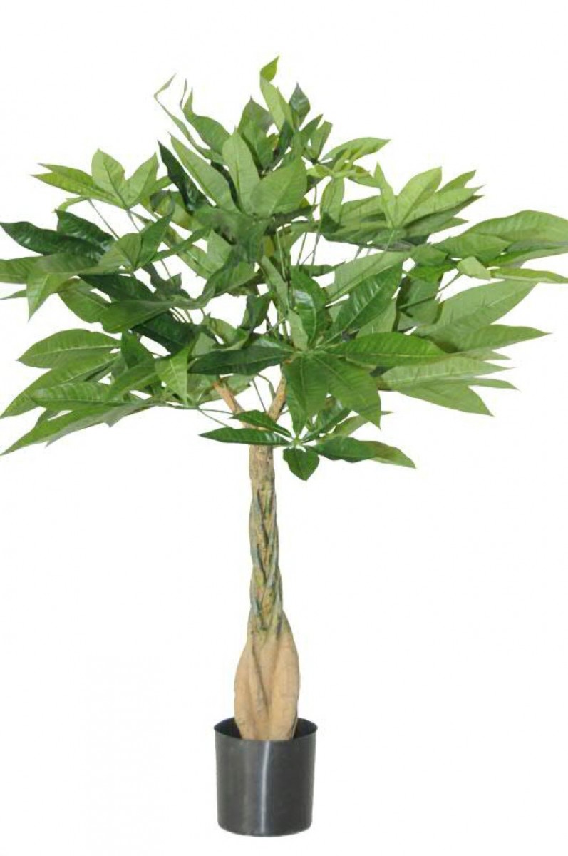Pachira aquatica mit geflochtenen Stamm - Glckskastanie Kunstpflanze |  Terrapalme Heim- und Gartenshop