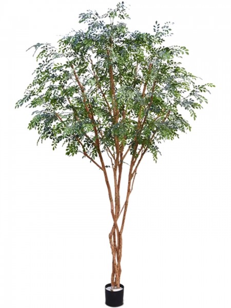Murraya Paniculata verzweigt - Orangenjasmin Kunstbaum 325 cm