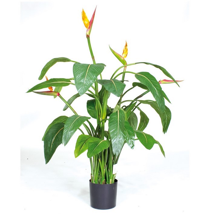 Strelizie - Strelitzia | Kunstpflanze | Terrapalme Heim- und Gartenshop
