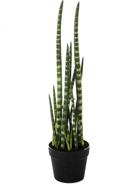 Sansevieria Baton - Bogenhanf Kunstpflanze