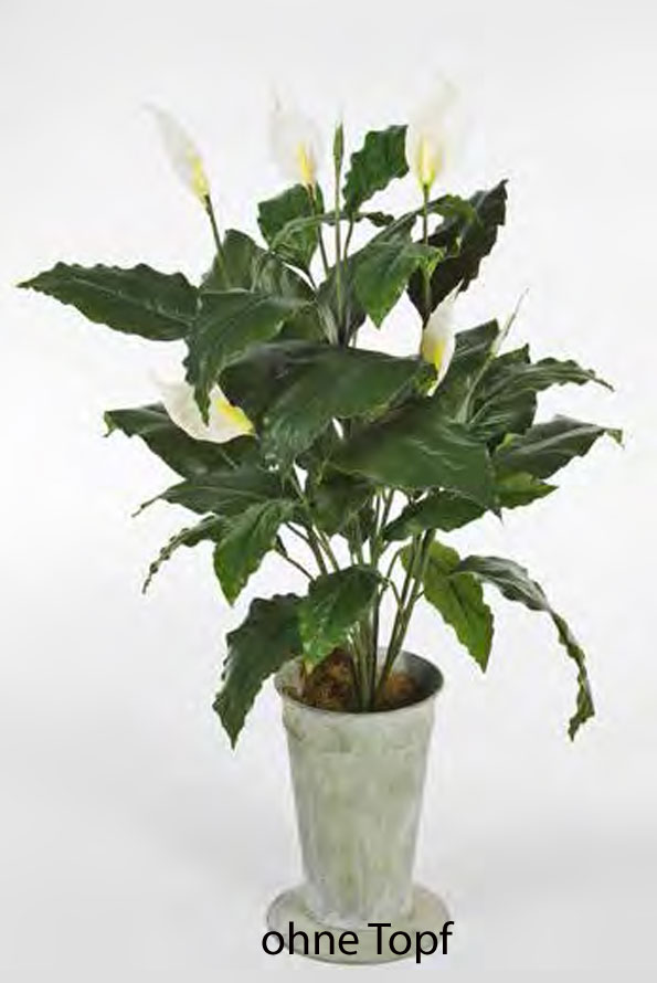 Spathiphyllum natural Kunstpflanzenstiel | Terrapalme Heim- und Gartenshop