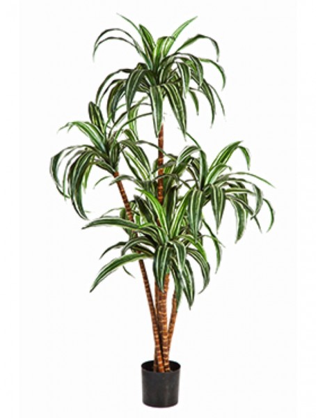 Dracaena tree - künstlicher Drachenbaum