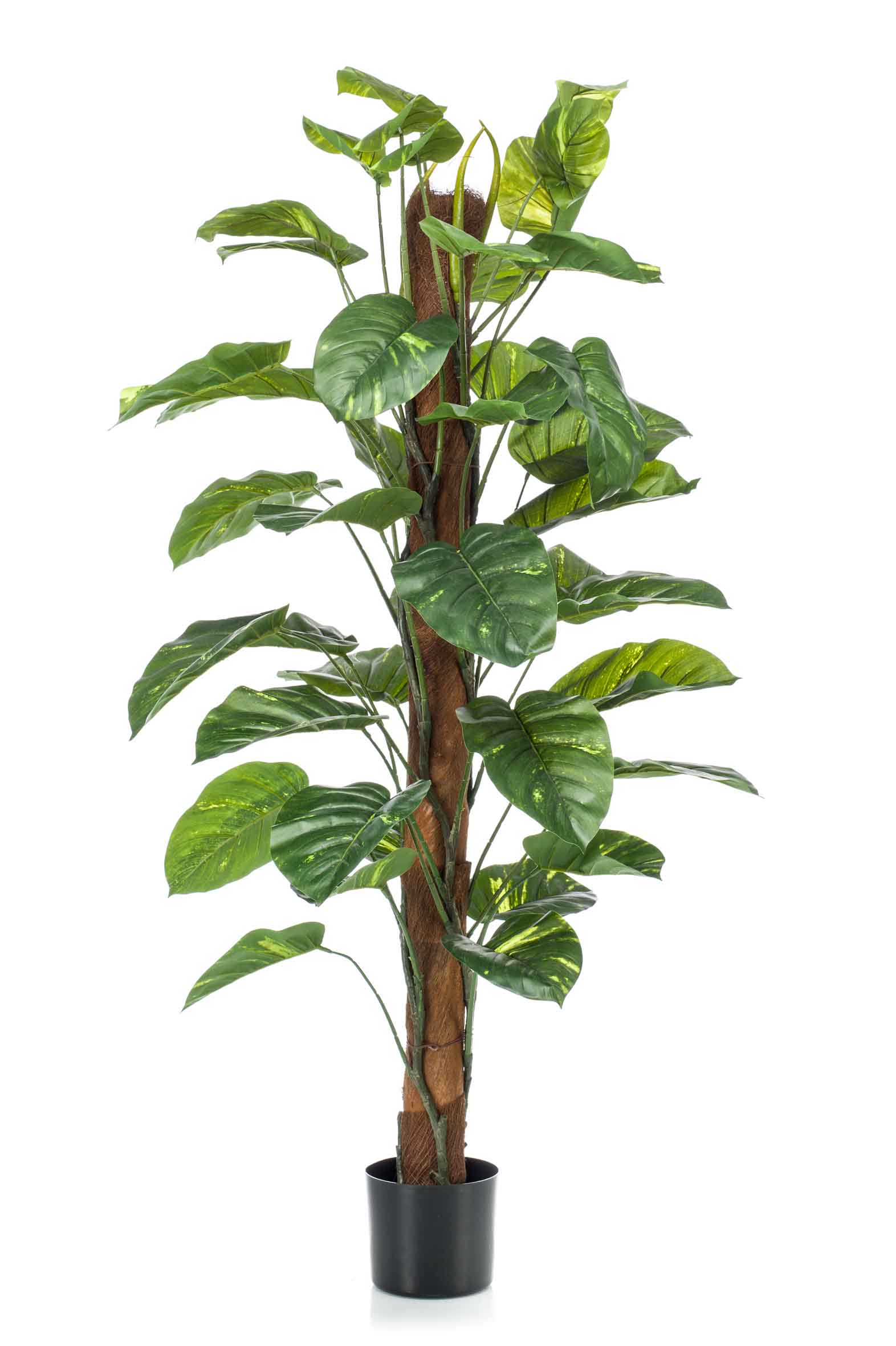 Scindapsus Kunstpflanze 150 cm