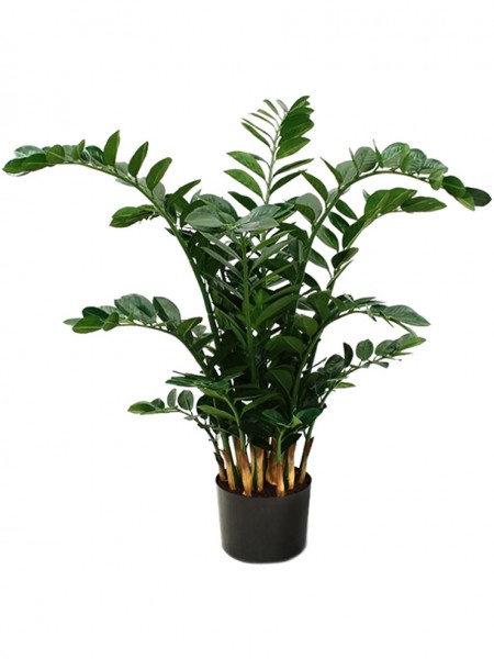 Zamioculcas Zamiifolia Kunstpflanze