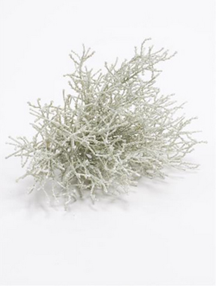 Calocephalus 20 cm | Stacheldraht Kunstpflanze | Terrapalme Heim- und  Gartenshop