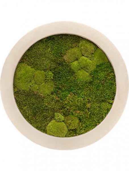 Polystone Bilderrahmen rund mit mumifiziertem Moos