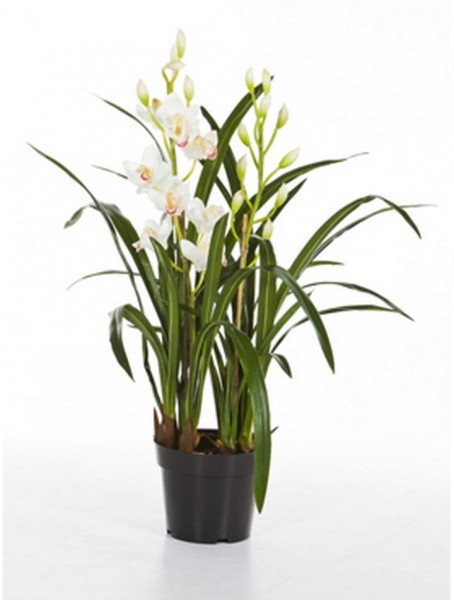 Cymbidium soiled 75cm - Orchideen Kunstblume