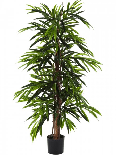Ficus Longifolia Branched - Kunstpflanze schwer entflammbar / feuerhemmend