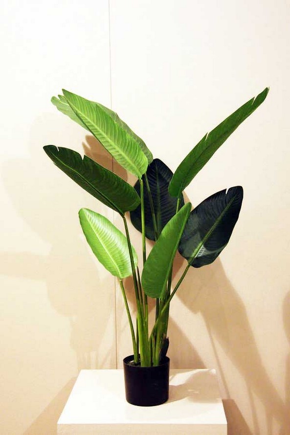 Strelitzia nicolai Kunstpflanze