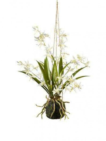 Phalaenopsis creme mit Ballen 45 cm - Kunstpflanze zum Hängen