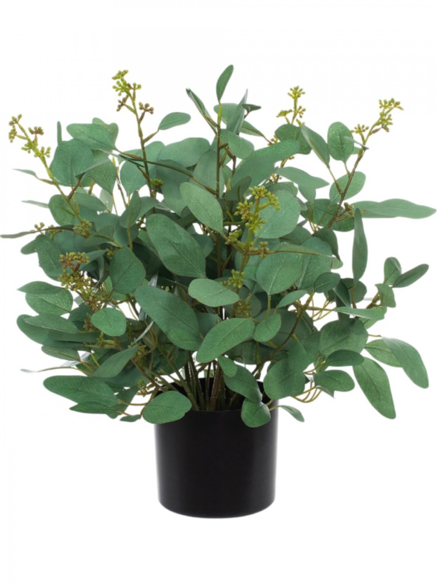 monstera d 6-8ft Monstera Deliciosa- NYC, NJ, CT, Boston, Providence, Washington DC,  Baltimore, Philadelphia, Princeton, Long Island, and Upstate NY Local Plant  Delivery – Dahing Plants main image 1