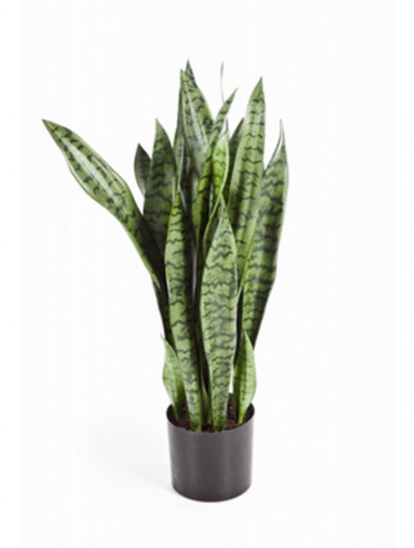 Sansevieria Kunstpflanze