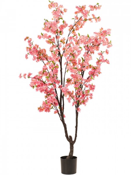 Kirschblüten Kunstbaum Pink 210 cm