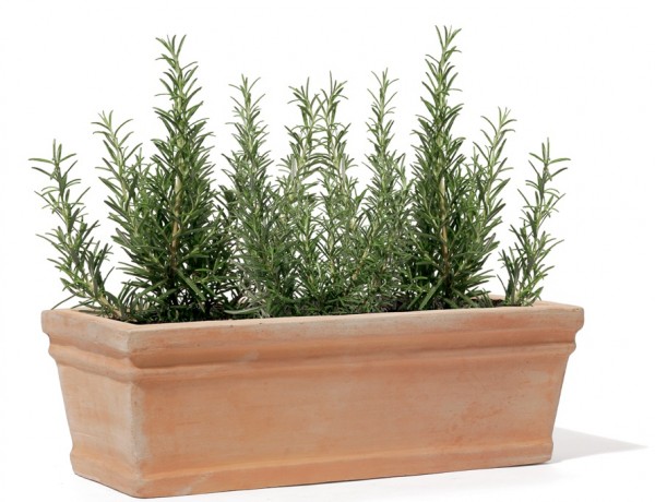 Bordino Pflanzkasten - Rossini Terracotta 2er Set