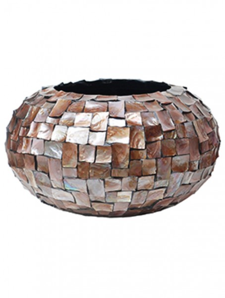 Oceana Bowl - Austernmuschel Schale