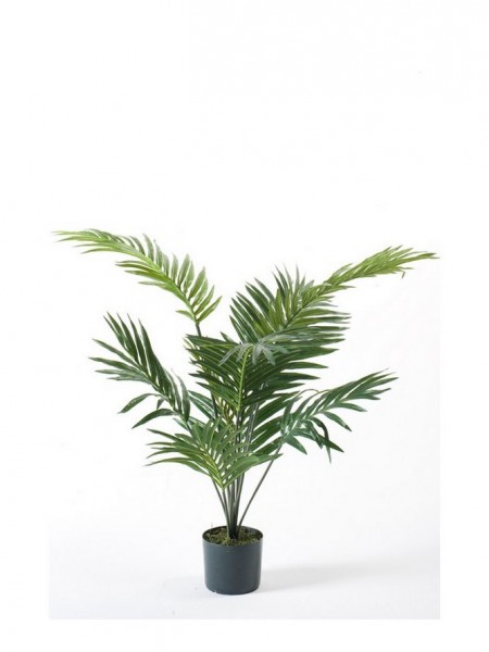 Kentia Palme - Kunstpflanze