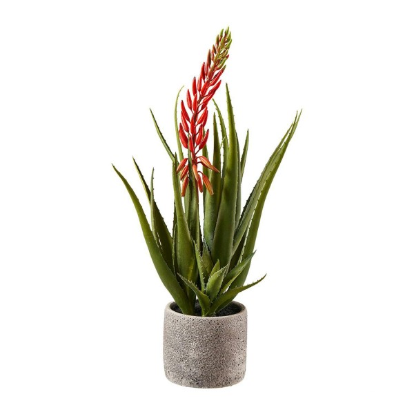 Aloe Vera grün/rot Kunstpflanze 53cm im Topf