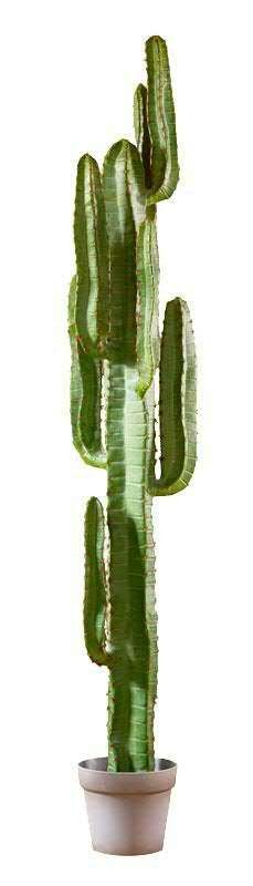 Künstlicher Säulenkaktus KARUSA, grün, 195cm