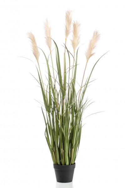 Pampas Kunstgras