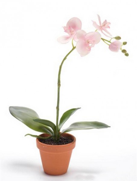 Phalaenopsis 45 cm | Orchideen Kunstpflanze im Topf