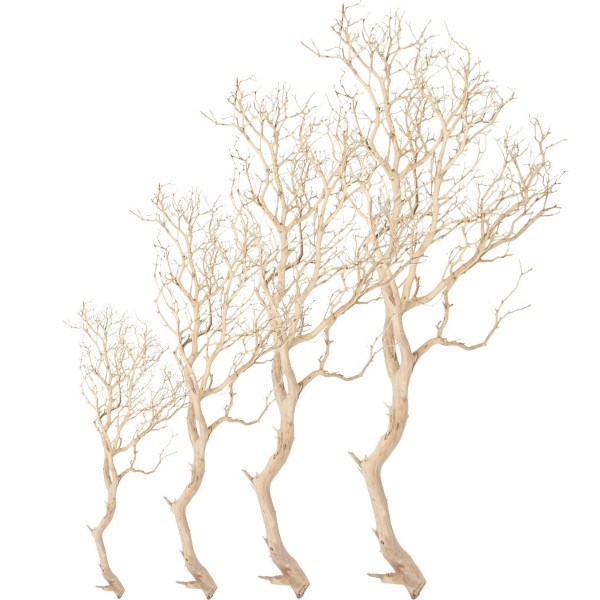 Manzanita sandgestrahlt | Dekoholz