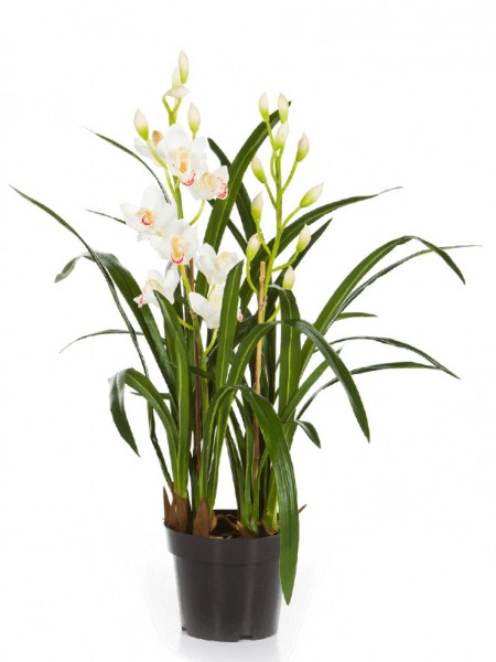 Cymbidium weiß 80 cm | Orchideen Kunstpflanze
